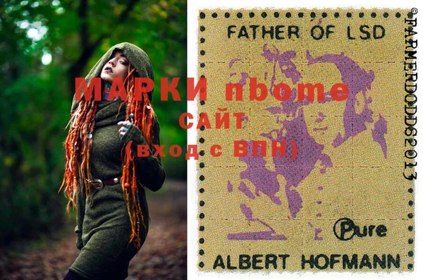 трава Корсаков