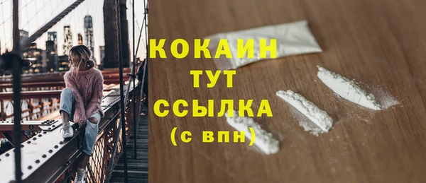 трава Корсаков