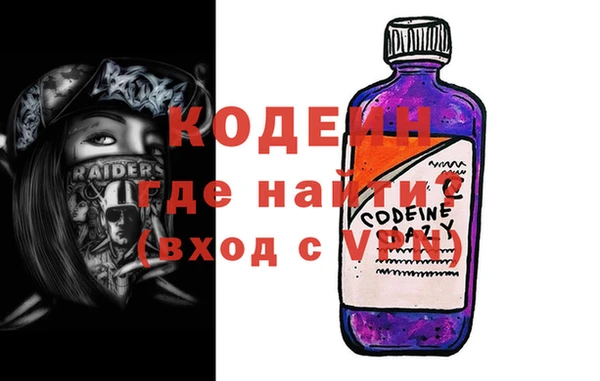 трава Корсаков