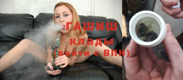 трава Корсаков