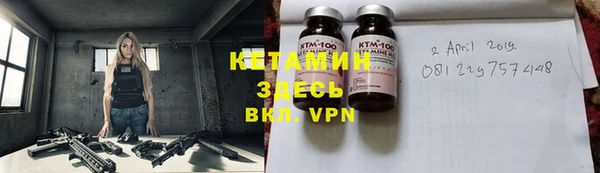 трава Корсаков