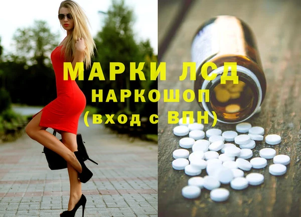 трава Корсаков