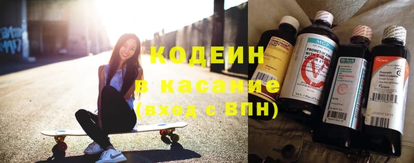 трава Корсаков